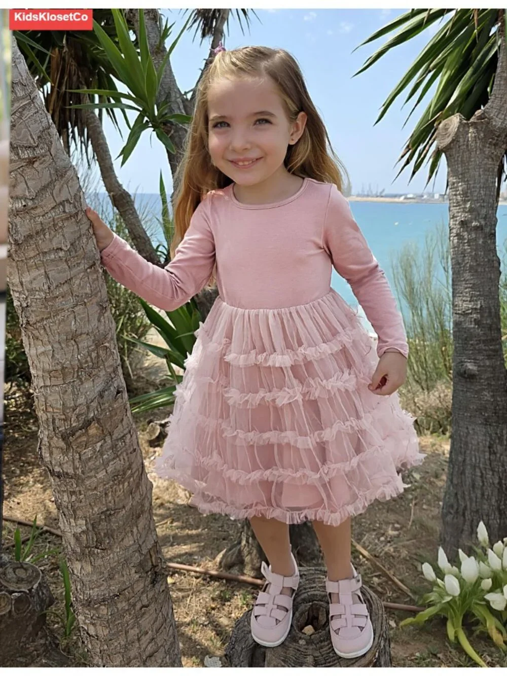 Toddler Girls Ruffle Tiered Party Tulle Dress Long Sleeve Tutu